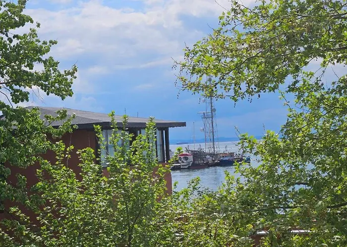 елинор Pomorie